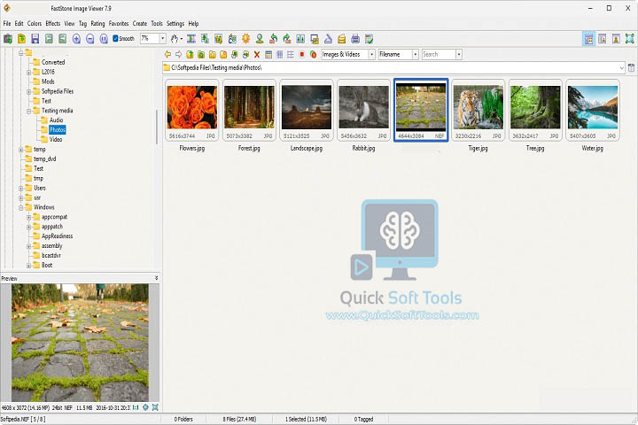 FastStone Image Viewer v8.3 [Latest Software] For PC