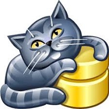 AnySQL Maestro v16.12.0.15 [Latest Software]