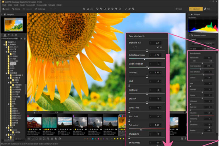 SILKYPIX Developer v12.0.5.0 [Latest Software] Download Free